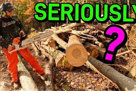 I Wasn't EXPECTING This When I Went To BUY A New CHAINSAW | What A HUGE Surprise!
