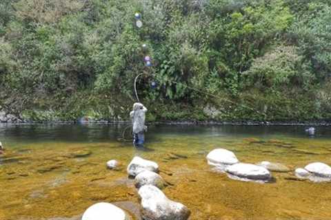 FLY FISHING in STUNNING RIVER for BIG RAINBOW TROUT