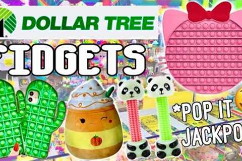 I BOUGHT EVERY FIDGET, POP IT, &amp; SQUISHMALLOW AT DOLLAR TREE! *$1 Pop Its* No Budget Fidget..