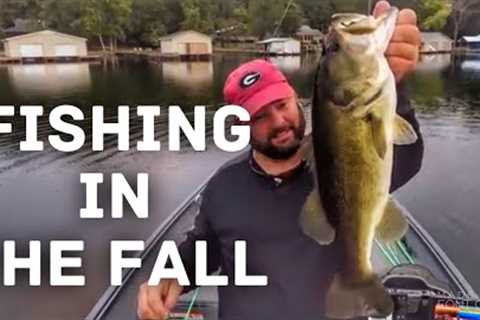 The How to Fish the Fall Transition Video - Bass Fishing