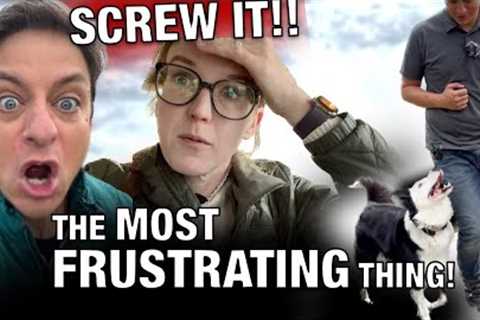 How To Train a Dog When They’re JUST NOT GETTING IT (By Far, the MOST FRUSTRATING PART of Training!)