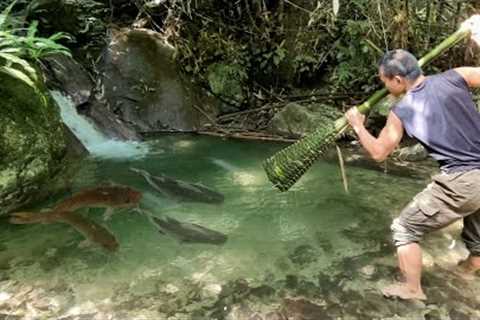 Survival Alone Catch fish and Cook Survival - Survival Adventures