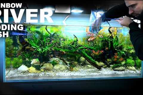 Adding NEW FISH to my RAINBOW RIVER Aquarium!!!
