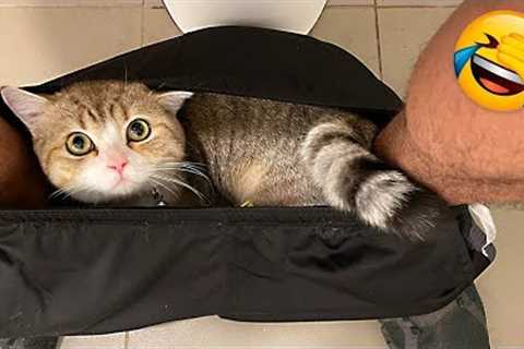 Funny Animal Videos 2022 😂 - Best Dogs And Cats Videos 😺😍 #25