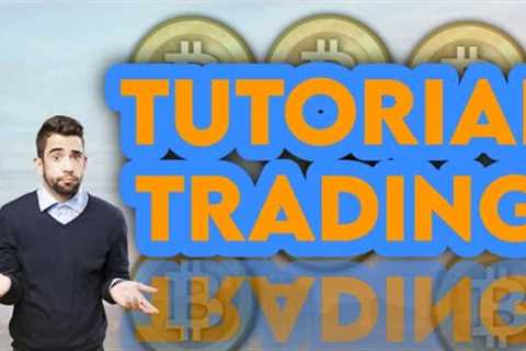 ADDING OPTIMISM BASED AN INSURANCE CRYPTO BITCOIN NFT PROJECTS BRING THE NUMBER OF SUPPORTED BITCOIN