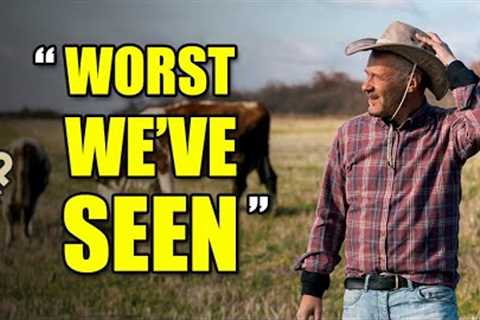 Why Meat Prices Are About to Soar