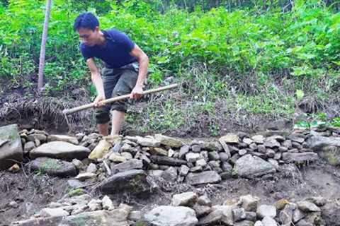 Survival Skills In The Rainforest, Bushcraft Survival, Primitive skills - Farm Building #6