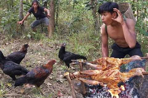 Survival in forest: Catch a lot chicken in jungle with boy - Grilled chicken tasty for Eat with boy
