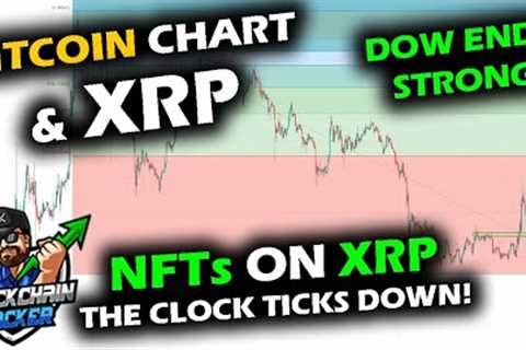 COILING UP for the Bitcoin Price Chart and Altcoin Market as Stock Market Bounces, XRP NFTs APPROACH