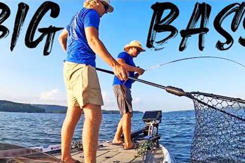 WINNING A BASS TOURNAMNET ON LAKE GUNTERSVILLE! (GIANT BASS)