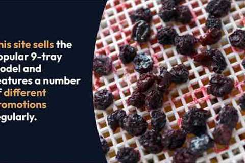 Where to Buy Excalibur Food Dehydrator :The Best Online Shopping Deals