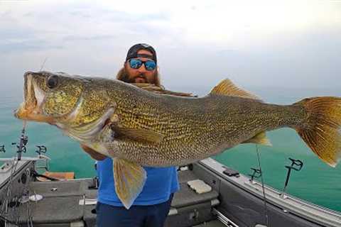 Walleye Fishing Lake Erie (CATCH &amp; COOK) | Field Trips with Robert Field