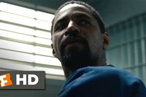 Roman J. Israel, Esq. (2017) - Live in What You Did Wrong Scene (8/10) | Movieclips
