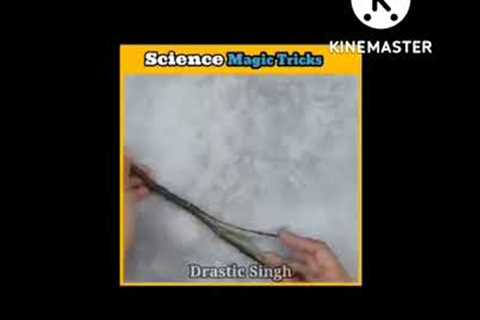 Amazing science Activities &amp; magic tricks magic ✨#shortsvideo