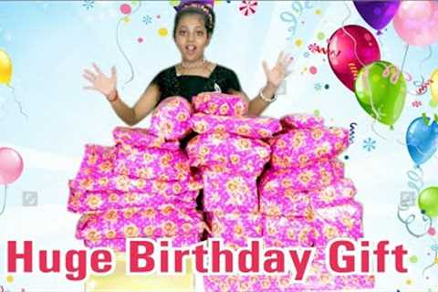 My Birthday Gifts | Best Surprise Ever | Miss Aaghnya Kumar Vlogs