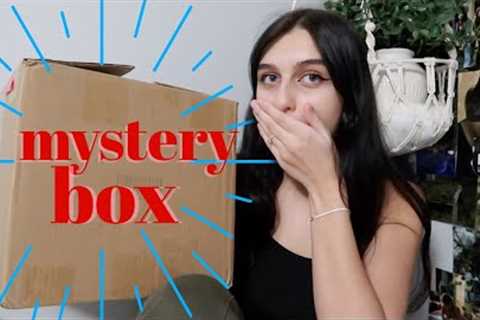 unboxing a mystery box from SHEIN x Home Living
