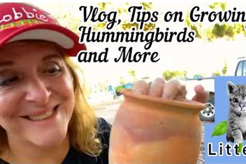 FALL Planting, Contain Gardening Hummingbirds Taking a Garden Break MAKING Life Easy Hallmark Movies