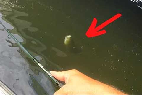 NO ONE Is Talking About The Most CRITICAL Bass Fishing TIP