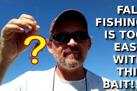 Fall Fishing Doesn't Get Any EASIER Than This! - Bass Fishing Tips