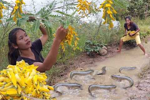 Natural sesbania flower and a lot fish to cook of survival food - Survival in forest