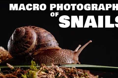 MACRO PHOTOGRAPHY: How to Photograph SNAILS - Tips and Tricks