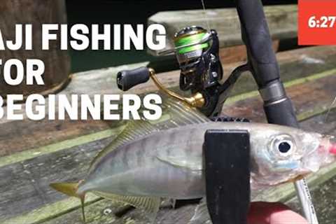 Aji Fishing Tutorial for Beginners | Micro Softbaiting for Jack Mackerel