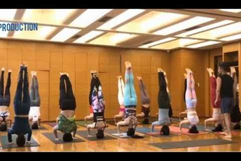 Best Chinese Yoga exercise, yoga at home,  Step by step Easy to difficult