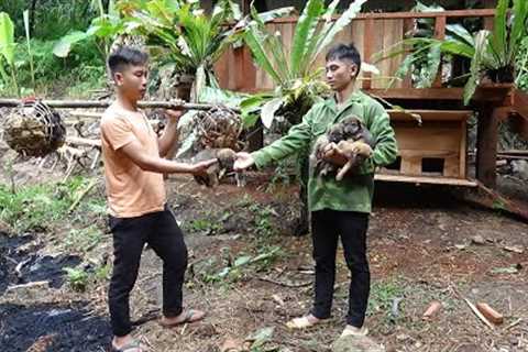 Raise more puppies and chickens, Green Forest Life, Building Farm In The Forest, Primitive Skills