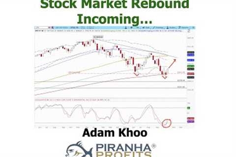 Stock Market Rebound Incoming...