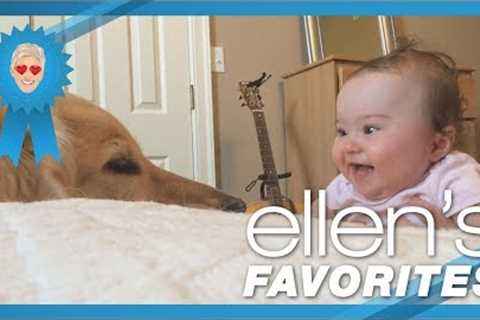 Ellen's Favorite Babies Laughing