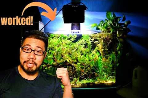 HOW TO: Zero Water Change Ecosystem Aquarium 💦🚫