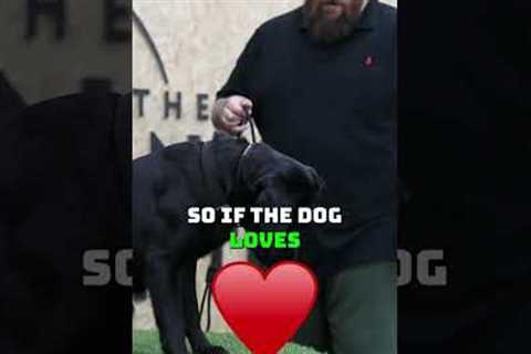 This Dog Training Tip Will Change Your Dog Forever