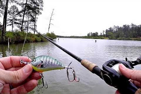Topwater Fishing in the Rain!