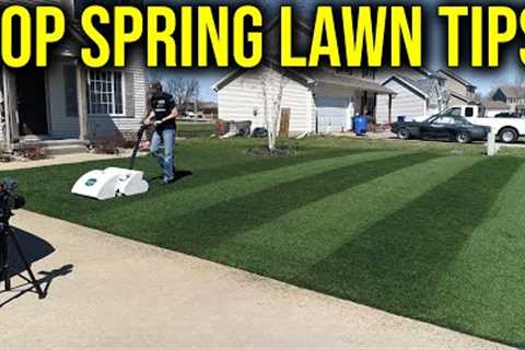 Top 6 Spring Lawn Care Tips 2022