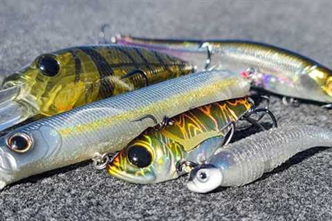 Top 5 Baits For November Bass Fishing!
