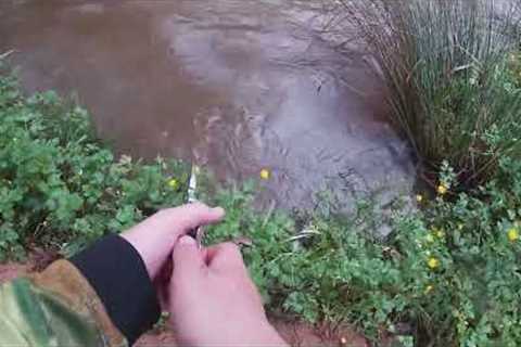 Awesome trout fishing with worms!!!