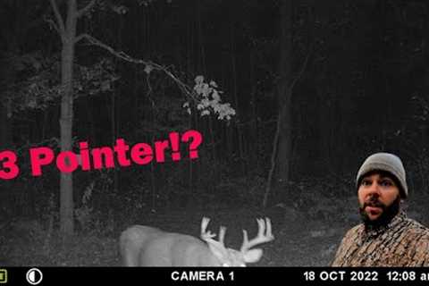 Morning Hunt & Trail Camera Update EP.3