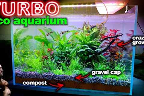 TURBO ECO AQUARIUM: Low Tech, Walstad Method Aquascape Tutorial