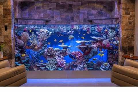 Massive Custom Home Aquarium - 3000g Saltwater - Large Fish Tank Build
