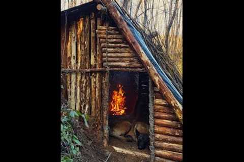 Bushcraft Skills - Build Survival Tiny House - Winter Camping - Off Grid Shelter