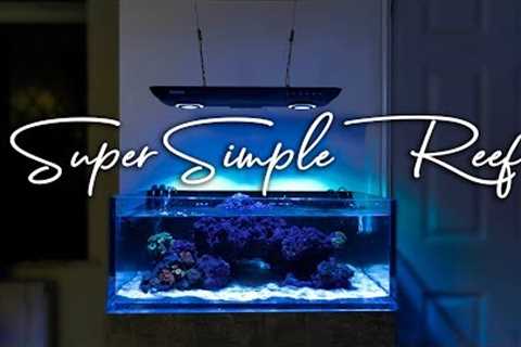 How To Setup a Super Simple Saltwater Reef Aquarium for Beginners