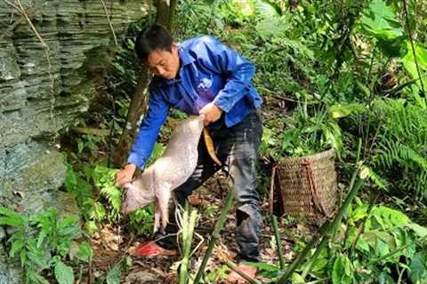detect the footprints of wild boar, skills, crafting some primitive traps, survival instinct