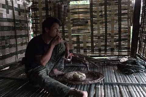 Build and complete a warm hut from bamboo, wilderness alone, episode 220