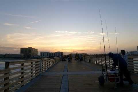 Jax Pier Pomp’s, underwater Go Fish Cam first time (poor water clarity)