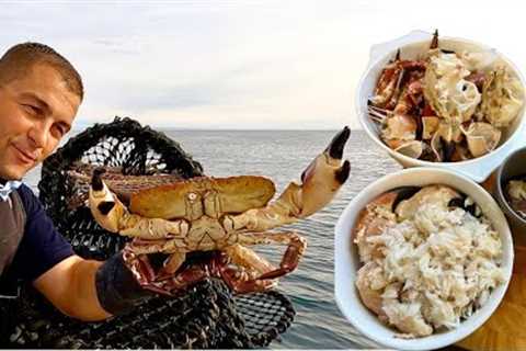 Fresh Seafood - BIG Crab Catch, Clean and Cook - Crab Cakes and Risotto | The Fish Locker