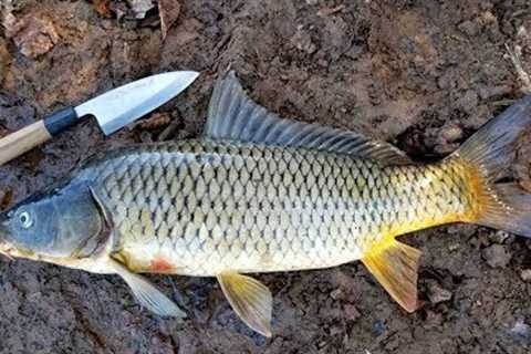 How to Catch Clean &amp; Cook Carp - Simple Carp Recipe &amp; Carp Fishing Tips