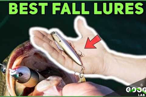 BEST 5 FALL Fishing LURES! ( Bass Fishing Tips )