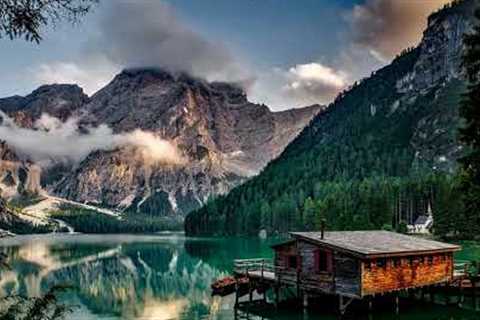 Beautiful Relaxing Music with a Flute, Cello, Guitar &amp; Piano Spring🌼Soothing Music