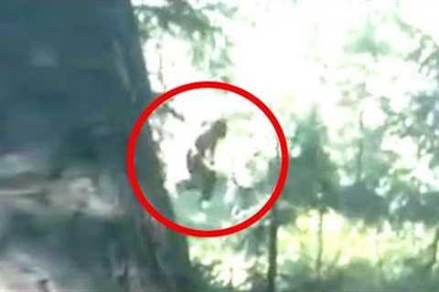 This Woman Makes A Surprising Discovery After Finding This In Her Swampland
