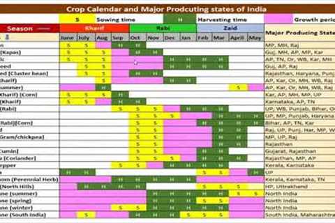 Research Methodology in Agriculture Commodities Market